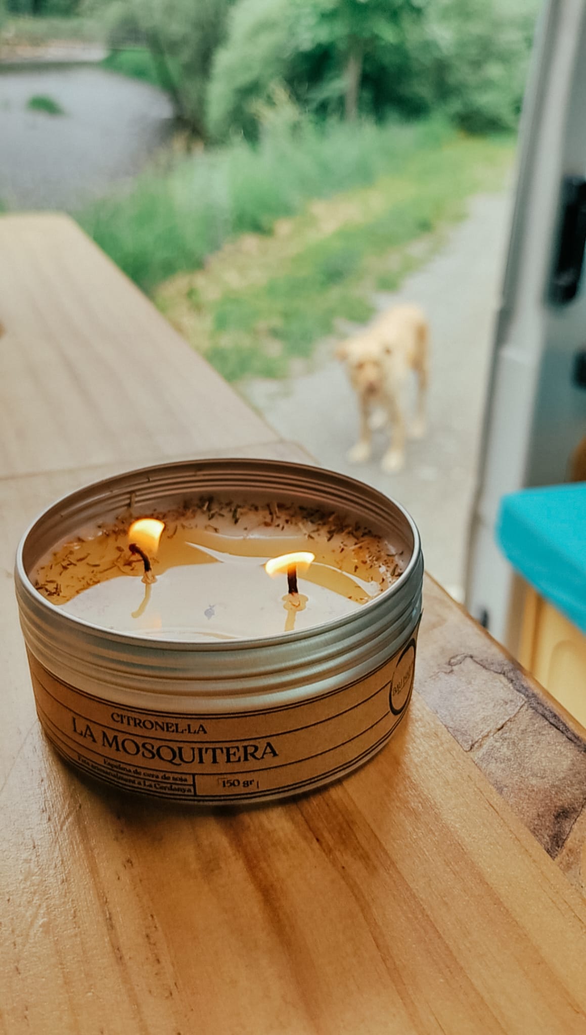 La Mosquitera